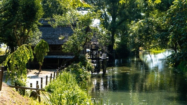 安曇野わさび田湧水群公園