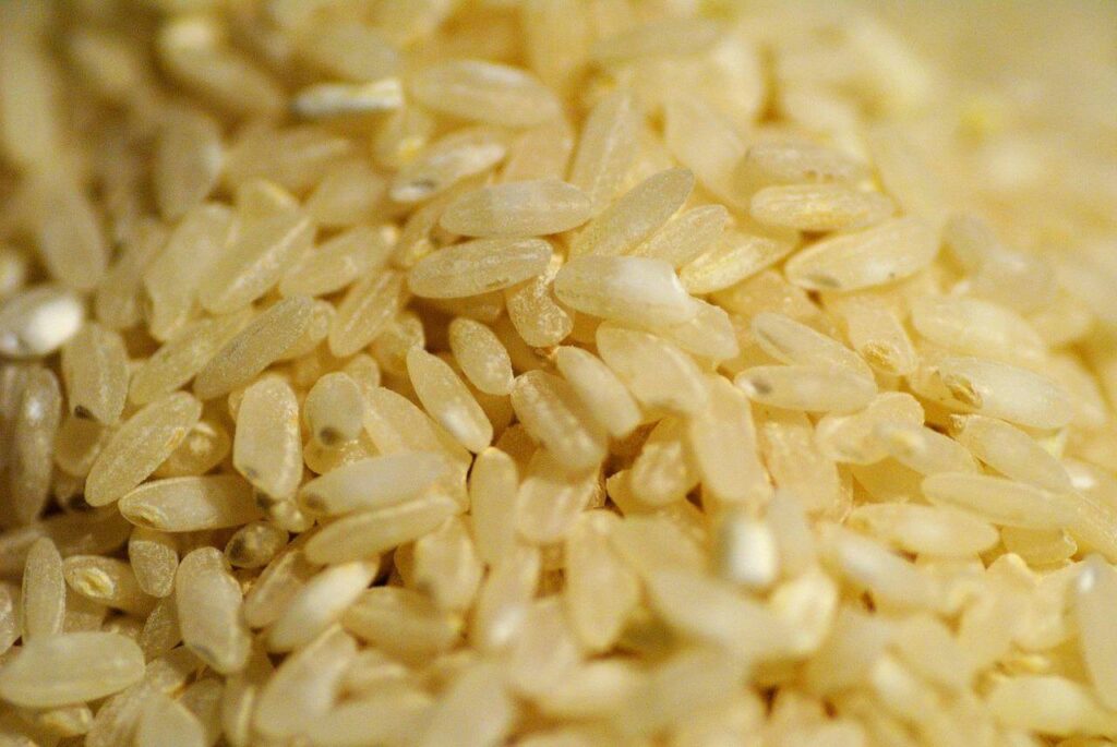 沢山の玄米