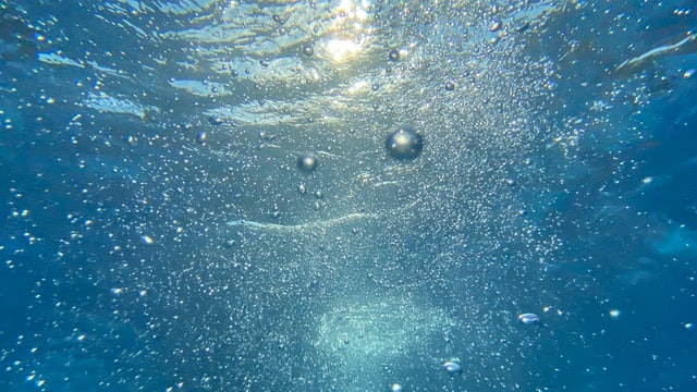 ウォーターサーバーの新鮮なお水で犬の脱水症状を防ぐ