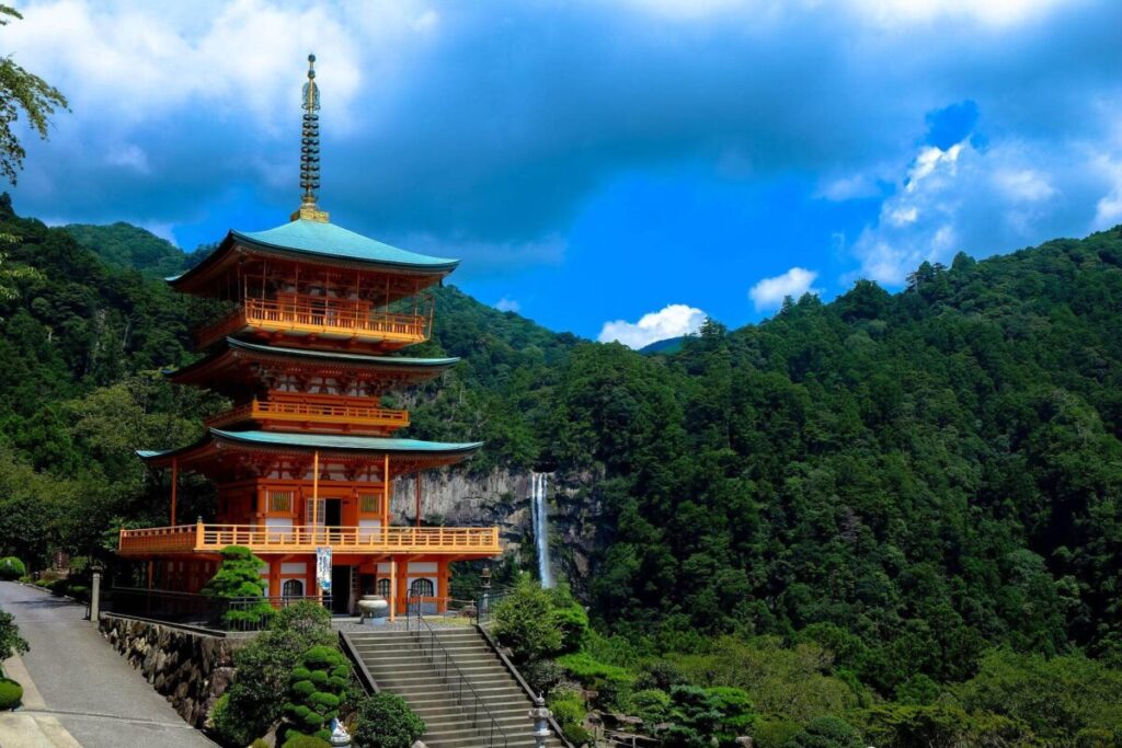 宮廷の画像