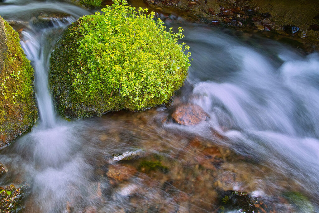 湧き水は伏流水とは違う？それぞれの定義を解説