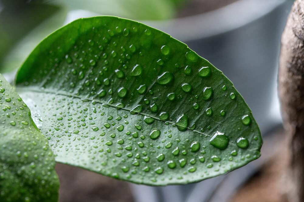 気温が下がると湿度が上がる