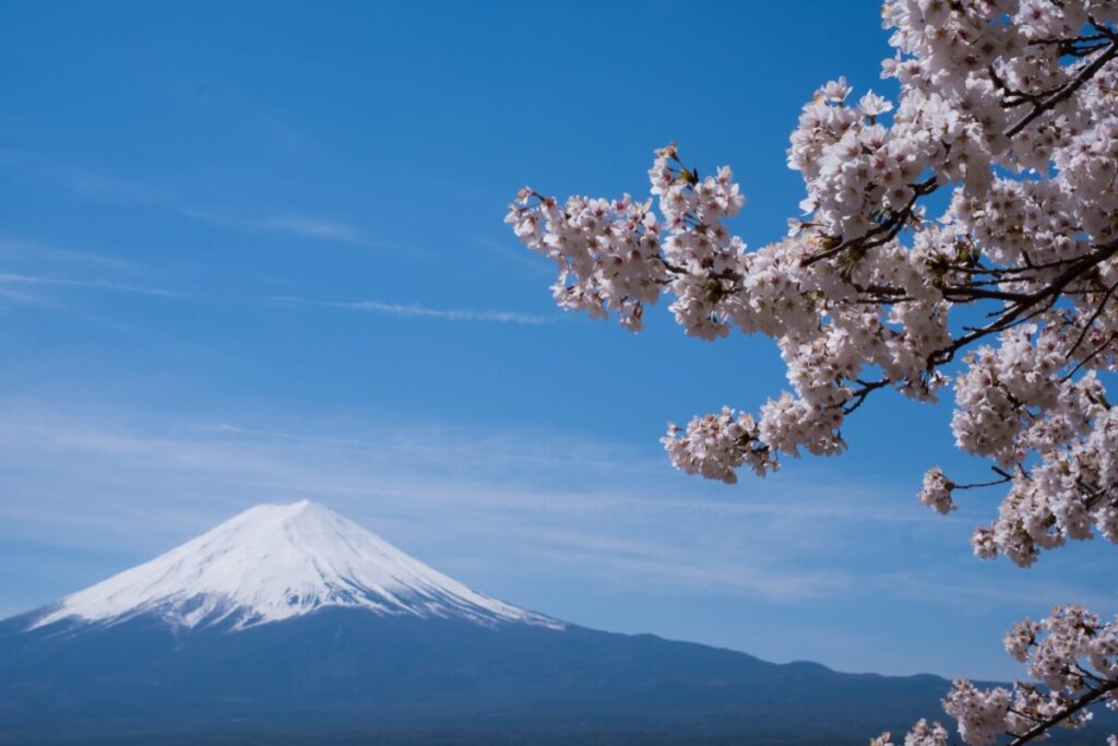 ふじざくら命水を口コミ・評判で判断！正直調査で決めるなら今だ！