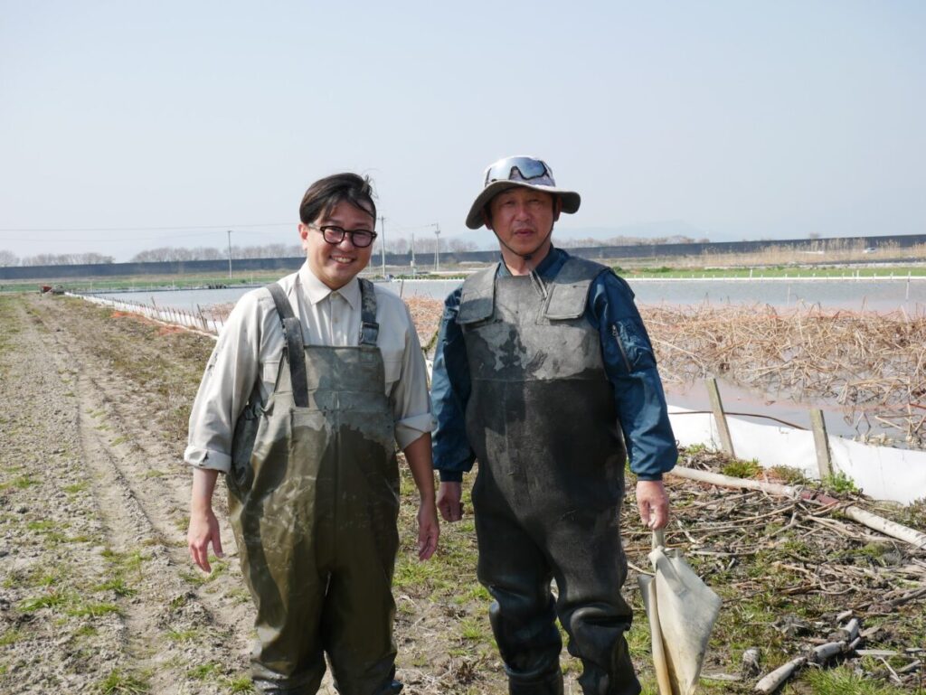 3代続く田島屋れんこん生産者