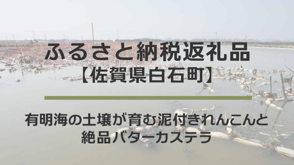 【佐賀県白石町】ふるさと納税返礼品｜有明海の土壌が育む泥付きれんこんと絶品バターカステラ