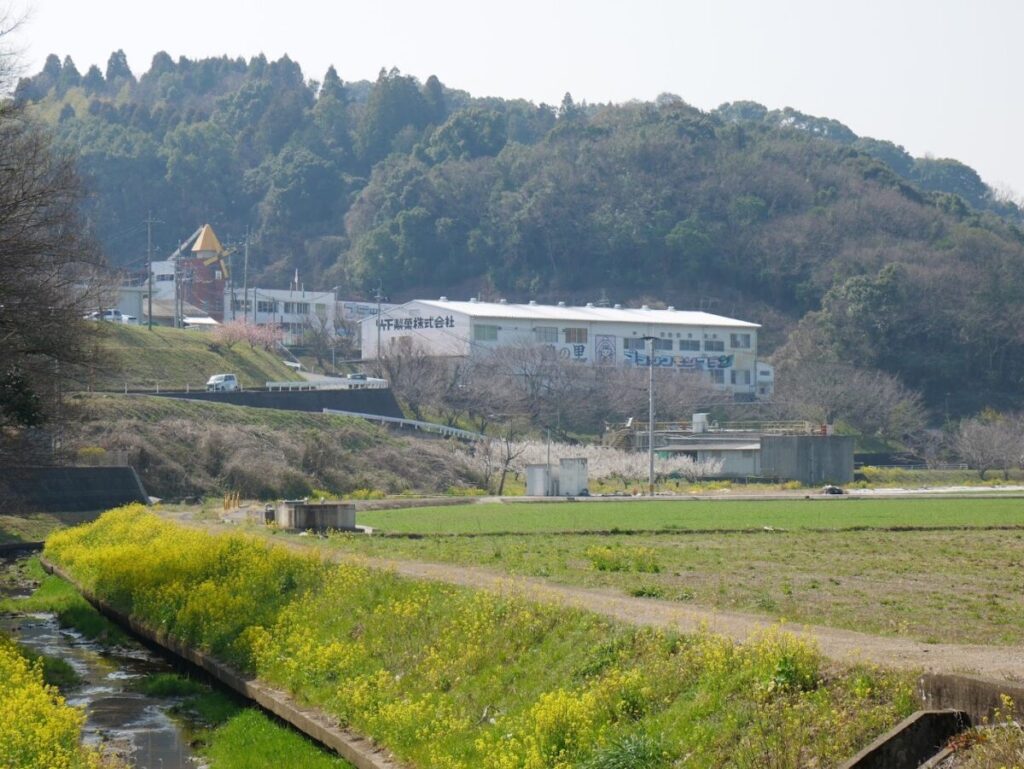 小城市_竹下製菓