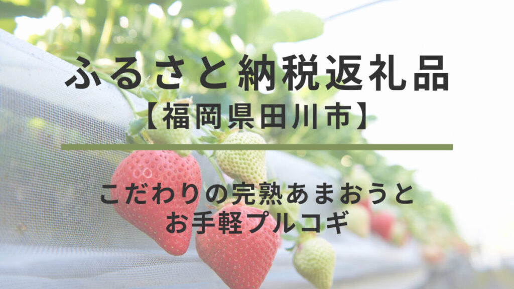 【福岡県田川市】ふるさと納税返礼品｜こだわりの完熟あまおうとお手軽プルコギ