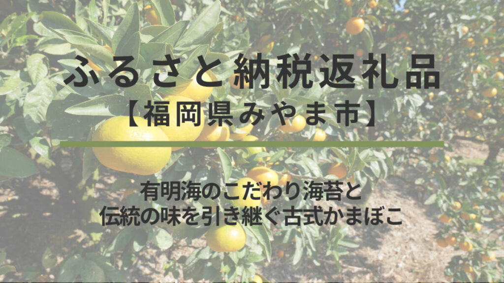 【福岡県みやま市】ふるさと納税返礼品｜有明海のこだわり海苔と伝統の味を引き継ぐ古式かまぼこ