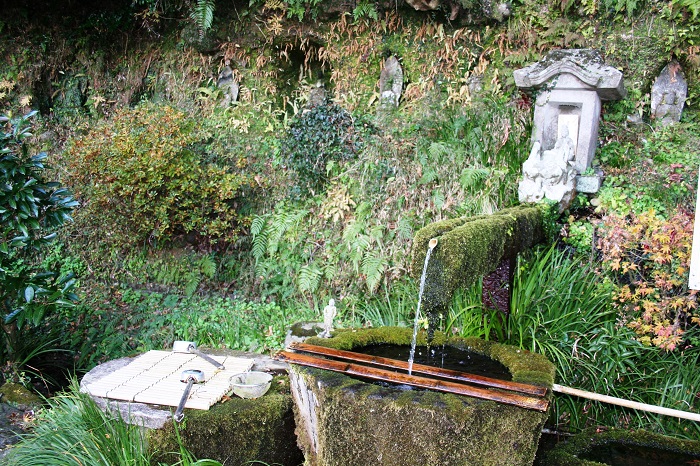 自然豊かな清水寺